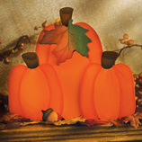 Pumpkin Centerpiece